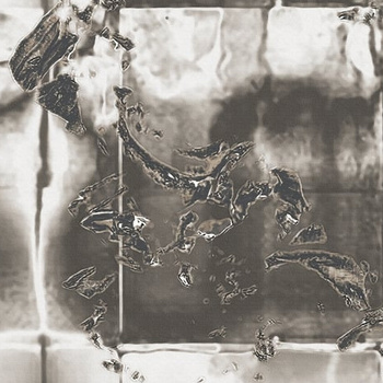 WET_LA2002 - Fototapeta Wal&Deco WET