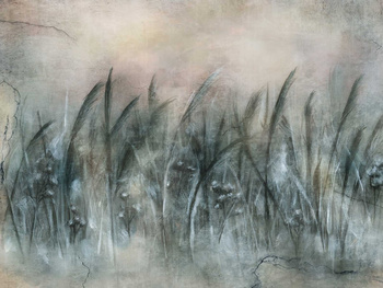 FOTOTAPETA CANNA 535 32 2201 WALLCRAFT