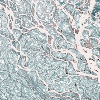 WET_RA1801 – fototapeta Racine Wet System Wall&Deco