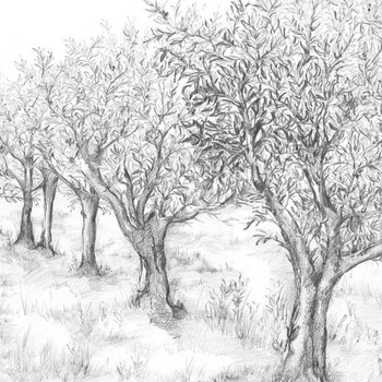 75631324 – tapeta Lauris Panoramas 2 Casamance