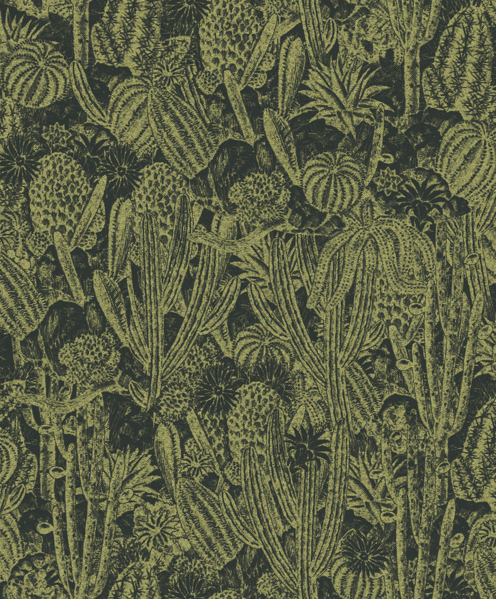 HAV204 – tapeta ścienna Cactus Havana Khroma – Khroma – zdjęcie produktu