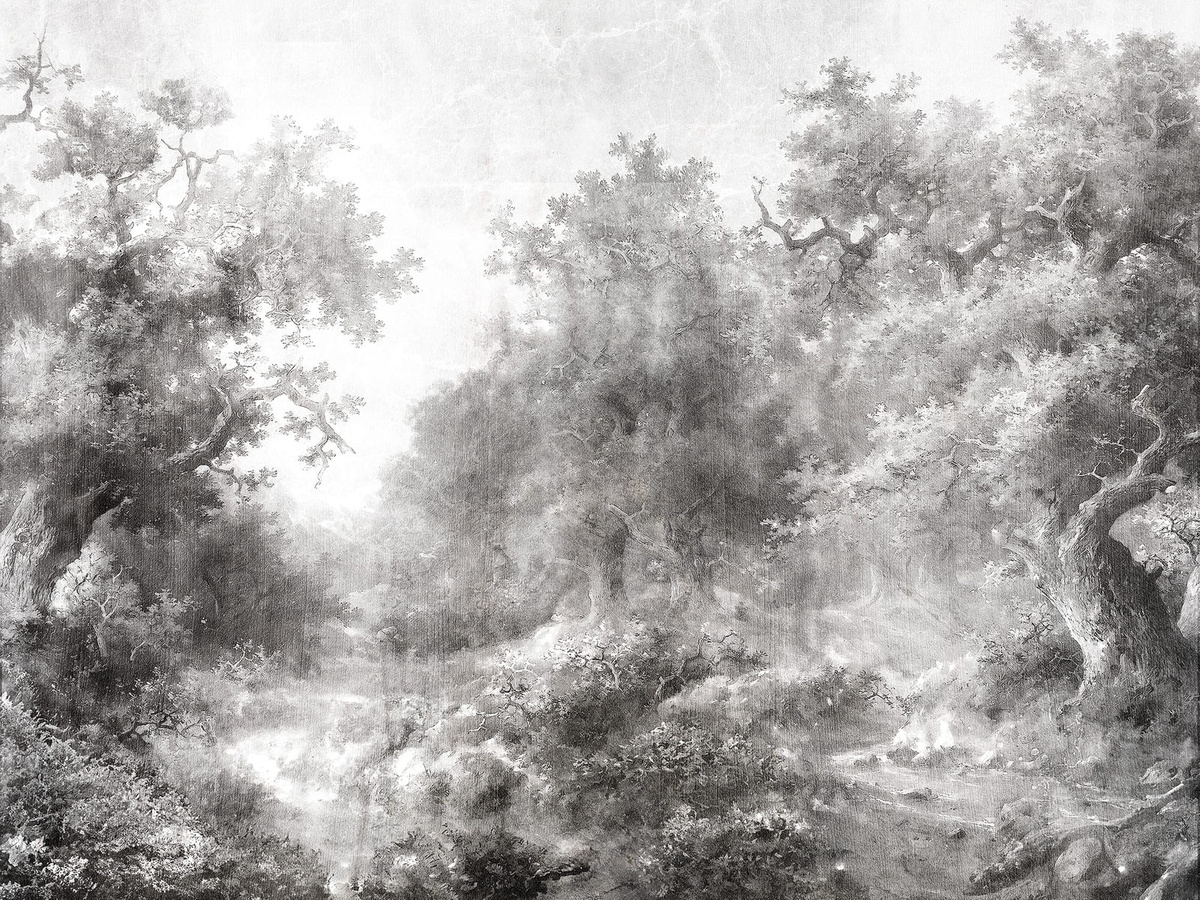 Tapeta mglisty las Nimista WallCraft 875332401 – mural ścienny w odcieniach szarości przedstawiający nastrojowy las we mgle