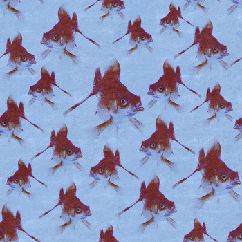 479_004 – fototapeta Pesci Rossi Taplab