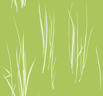 CO10804 - tapeta Grasses Coastal Chic WallQuest