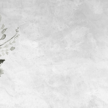 WET_SH1502 – fototapeta Shoko Wet System 2015 Wall&Deco