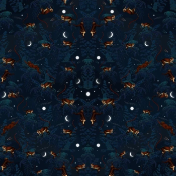 R16181 – fototapeta Space Monkey Rebel Walls