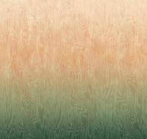 DG4MOI1081- tapeta Moire Wall Designs IV Khroma