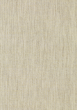 T3993 – tapeta Artessa Weave Surface Resource Thibaut