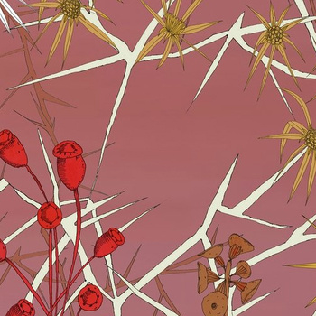 WDNP2002 – fototapeta The narrow path Contemporary 2020 Wall & Deco