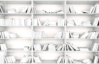 6500703 - panel Shelving Random Papers Coordonne