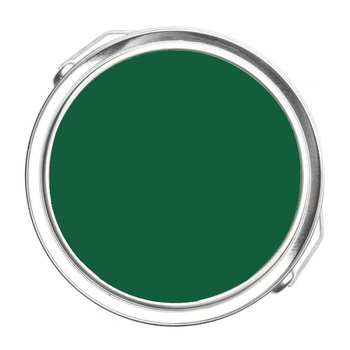 2040-10 Rainforest Foliage Benjamin Moore