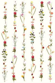 341087 – fototapeta Flower Garland Pip Studio Eijffinger