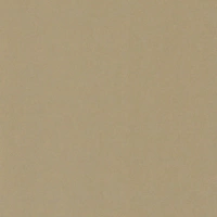 brąz