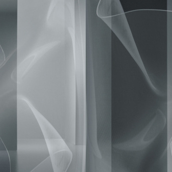 WET_TT1901 – fototapeta Tip toe Wet System Wall&Deco