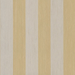 Tapeta Arte LesRayures Stripe 30021
