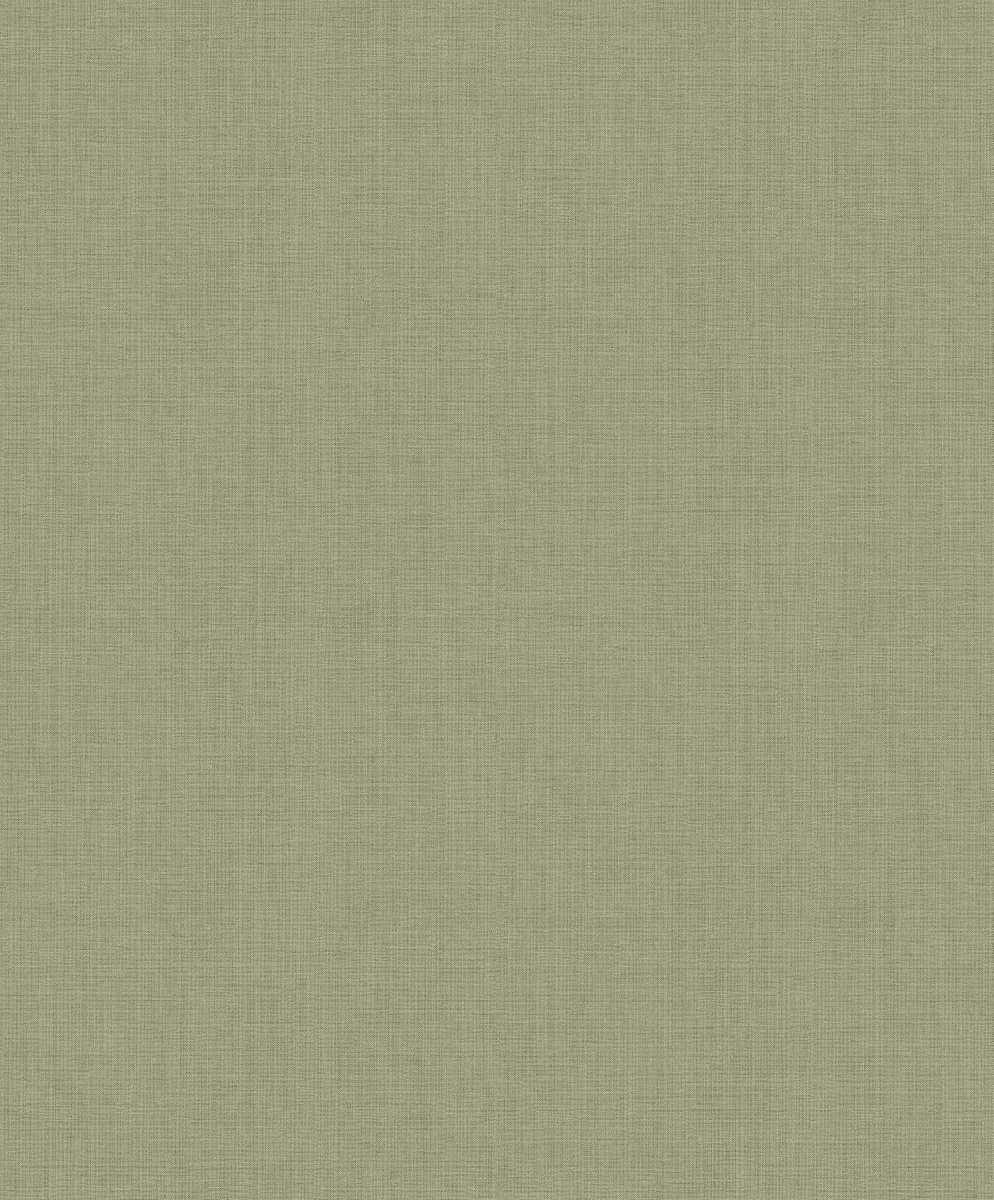 Orbit Farn - tapeta Aquila Khroma – Khroma – zdjęcie produktu