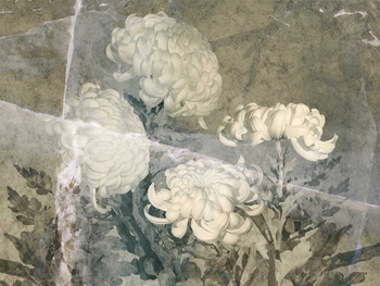 FOTOTAPETA FLOSS 580 32 2201 WALLCRAFT