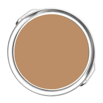 1139 - Harbor Highlands Tan Benjamin Moore