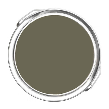 1505 - Trailing Vines Benjamin Moore