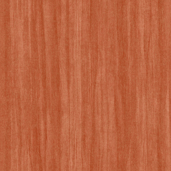 85983431  Woods Eucalyptus - tapeta Nicaragua