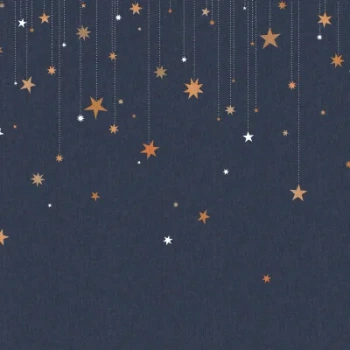 R14571 – fototapeta Stargazing Rebel Walls