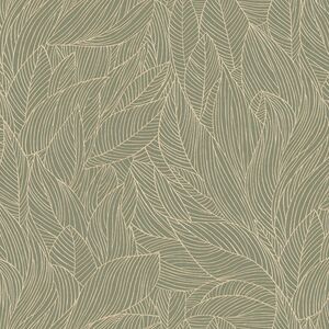 76602548 - Tapeta Hosta Jardin Felicia Casamance