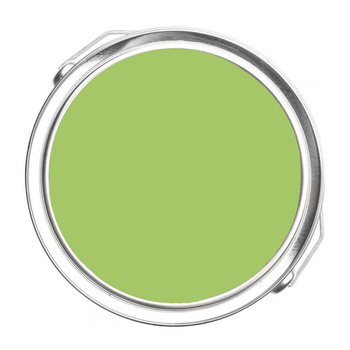412 - Springhill Green Benjamin Moore