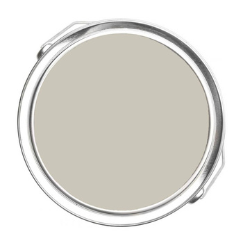 1535 - Seattle Mist Benjamin Moore