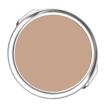 1167 - Fox Hedge Tan Benjamin Moore