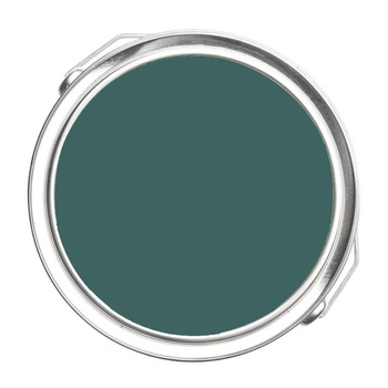 AF-510 Dragonfly Benjamin Moore