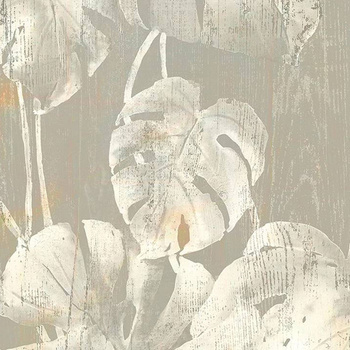 540_003 – fototapeta Filodendro Taplab