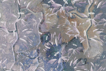 346_002 – fototapeta Taplab