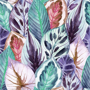 087_003 – fototapeta Taplab