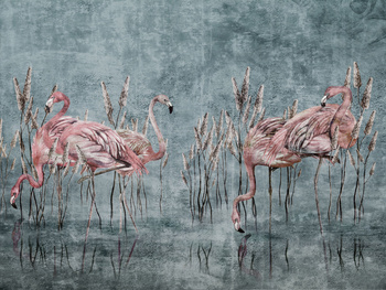 Fototapeta FENICOTTERO 375 33 2101 WallCraft