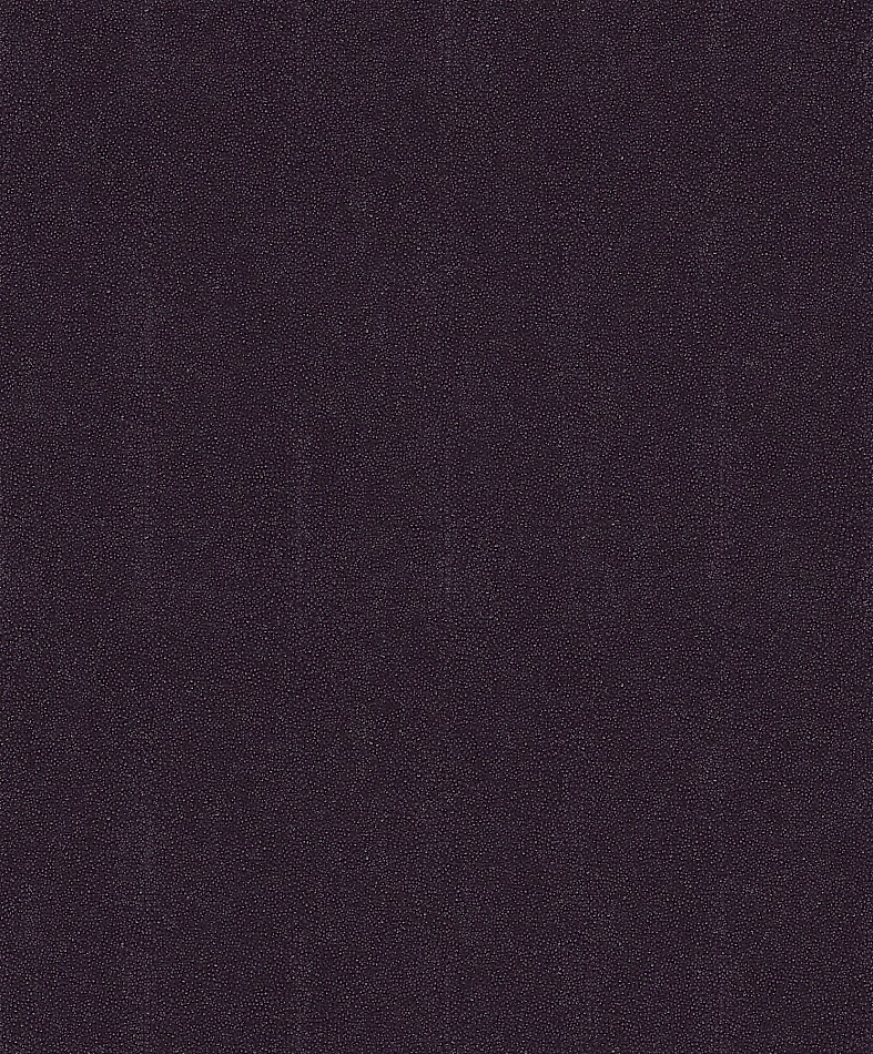 CAB905 – tapeta Iguana Cabinet Khroma – Khroma – zdjęcie produktu