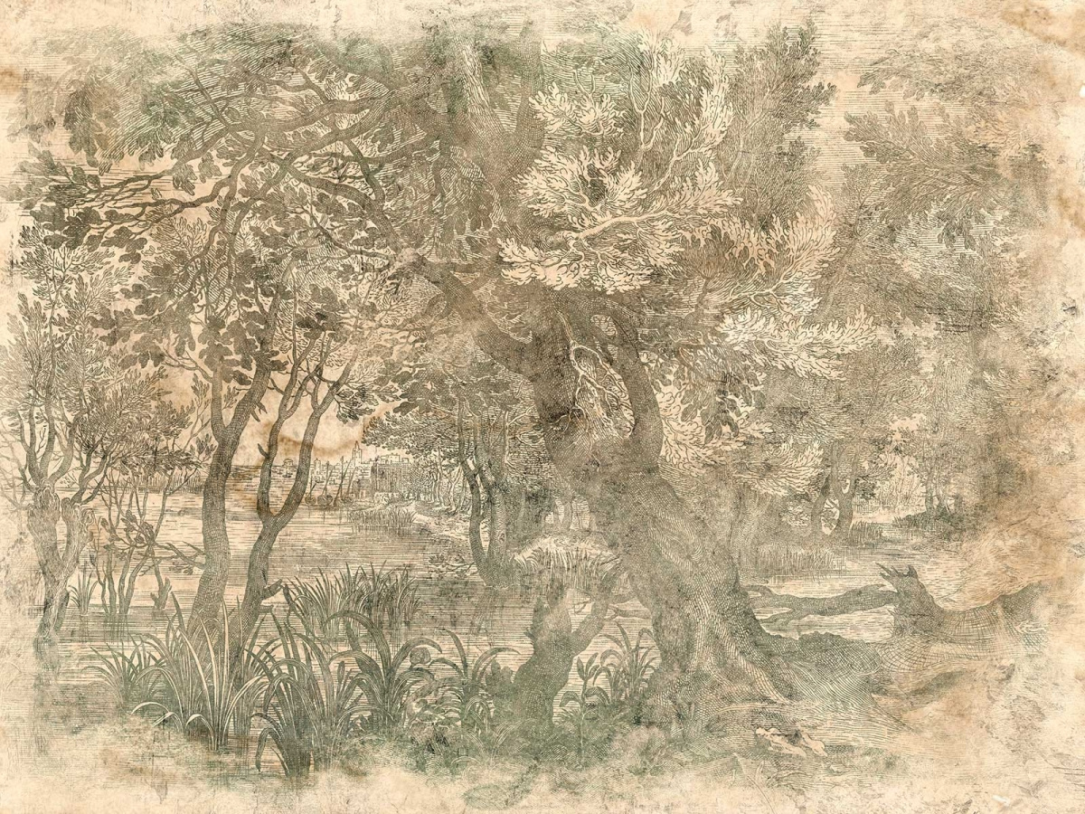 FOTOTAPETA ELAV 605 33 2201 WALLCRAFT – leśny mural w odcieniach beżu i zieleni