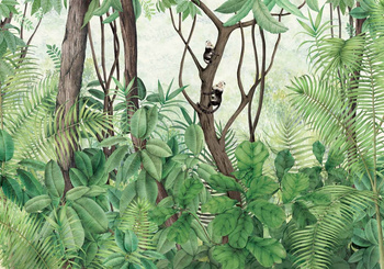 9000050 - panel Casa de Vidro Sunrise Random Archist Coordonne