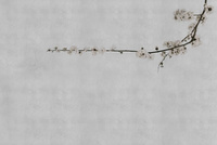 Non-woven