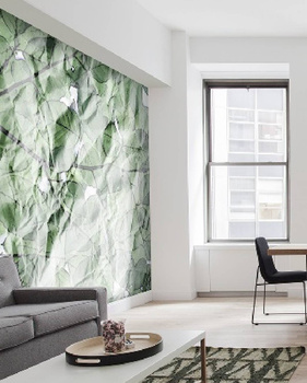 022_002 – fototapeta Taplab