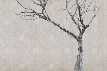 13BR-05 - fototapeta Brambles LondonArt