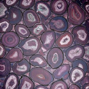 51217- tapeta Filo Pepper Hohenberger