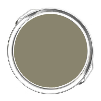 1504 - Passion Vine Benjamin Moore