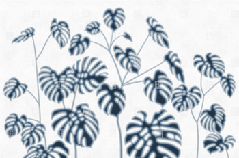 18510-02 – fototapeta Foglie Verdi LondonArt