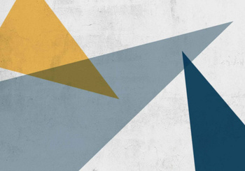 8500170 - panel Flash Instant Coordonne