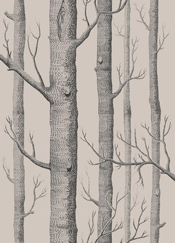 112/3013 – tapeta Woods Icons Cole & Son