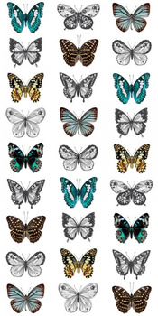 143-158507 - fototapeta Xxl Buterflies Green House Esta Home