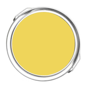 355 - Majestic Yellow Benjamin Moore
