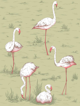 112/11038 – tapeta Flamingos Icons Cole & Son