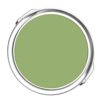 544 - Kiwi Benjamin Moore