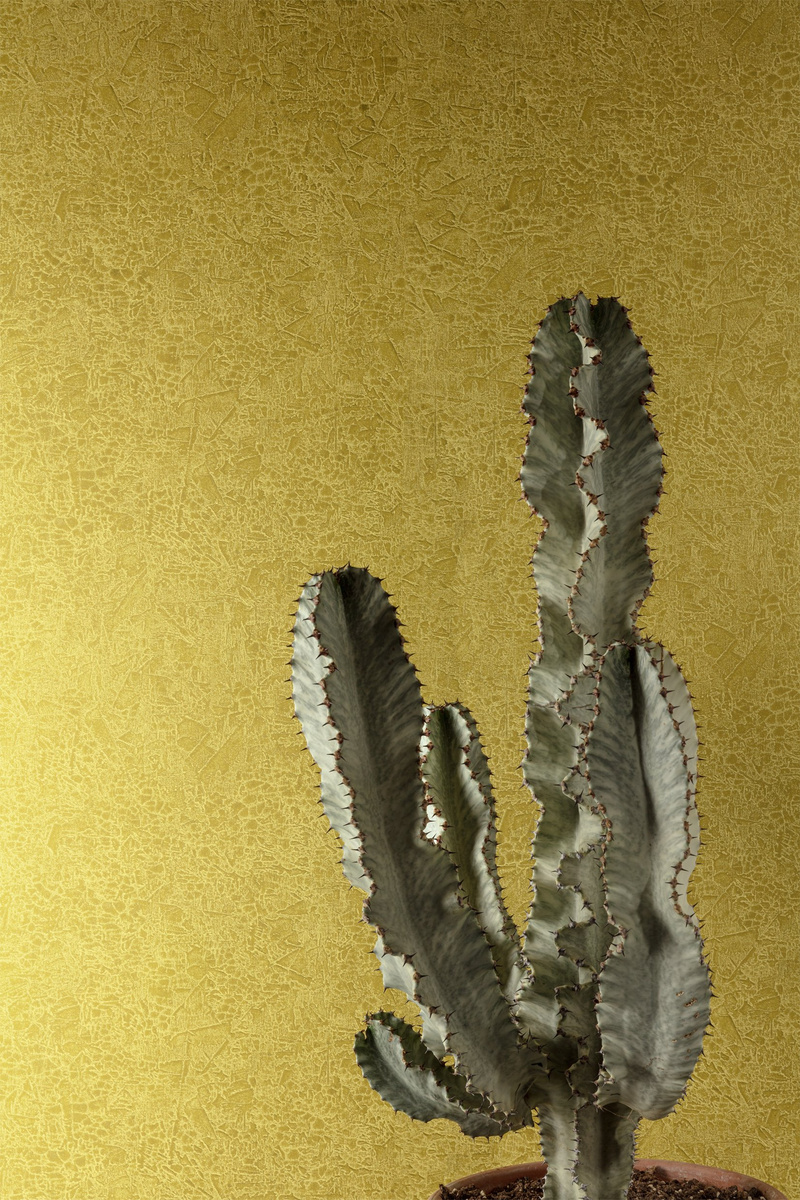 HAV1003  – tapeta ścienna Ramon Havana Khroma – Khroma – zdjęcie produktu